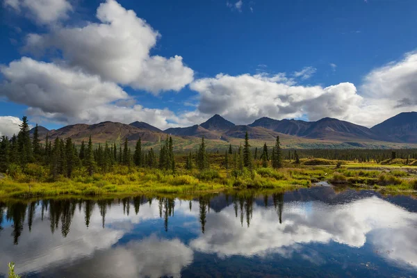 Lac Sérénité Dans Toundra Alaska — Photo