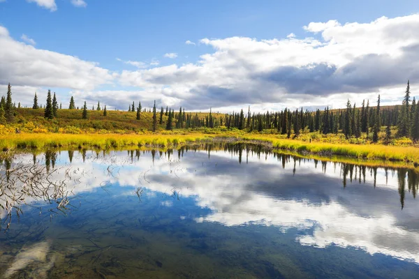 Jezioro Serenity Alasce Tundra — Zdjęcie stockowe