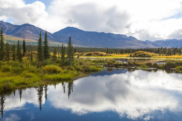 Serenity Lake Der Tundra Alaskas — Stockfoto