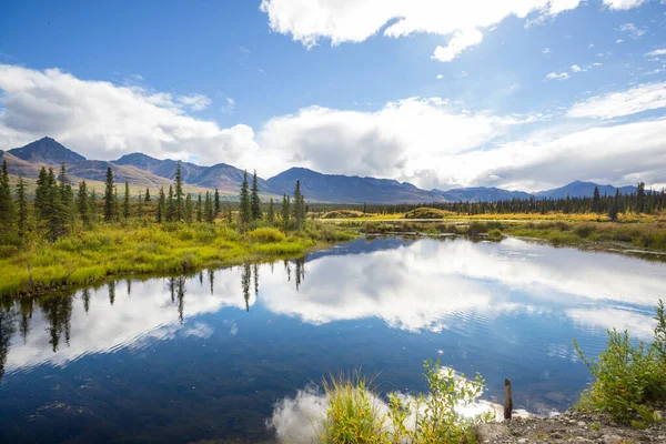 Lugn Sjö Alaska Tundra — Stockfoto