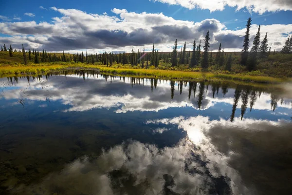Lago Serenidade Tundra Alasca — Fotografia de Stock