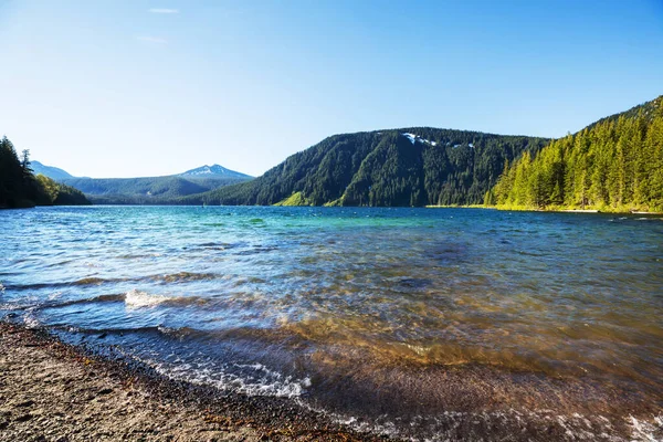 Serene Scene Door Het Bergmeer Canada — Stockfoto