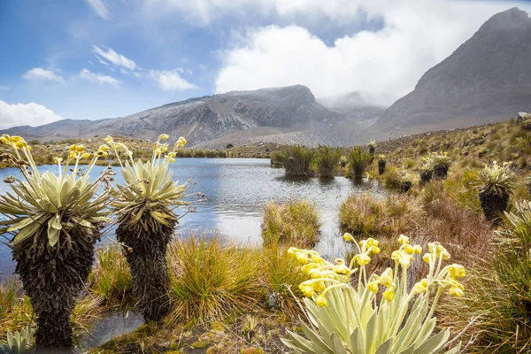 stock image Beautiful high mountains in Colombia_*