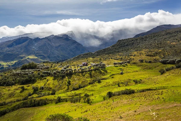Hermosas Montañas Altas Colombia —  Fotos de Stock