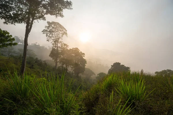 Piękne Tropikalne Krajobrazy Hondurasie Zielone Góry Dżungli — Zdjęcie stockowe