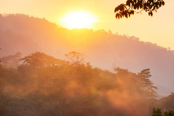Vackra Tropiska Landskap Honduras Gröna Berg Djungeln — Stockfoto