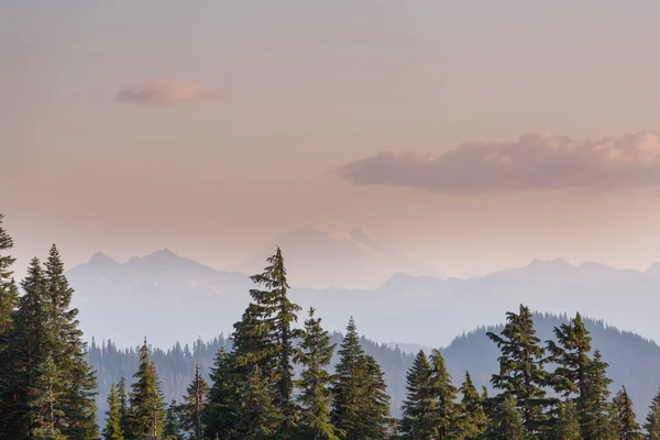 Гора Адамс Штате Вашингтон Сша — стоковое фото