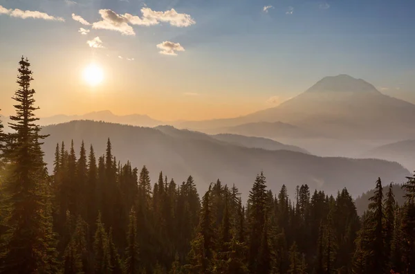 Mount Rainier Nemzeti Park Napkeltekor Usa Washington — Stock Fotó