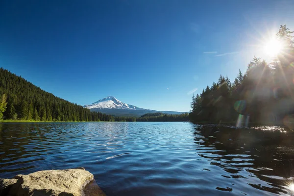 Mount Hood Reflection Trillium Lake Oregon Usa Beautiful Natural Landscapes — Stockfoto