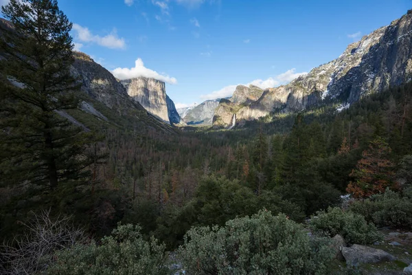 Parque Nacional Yosemite Califórnia Eua — Fotografia de Stock