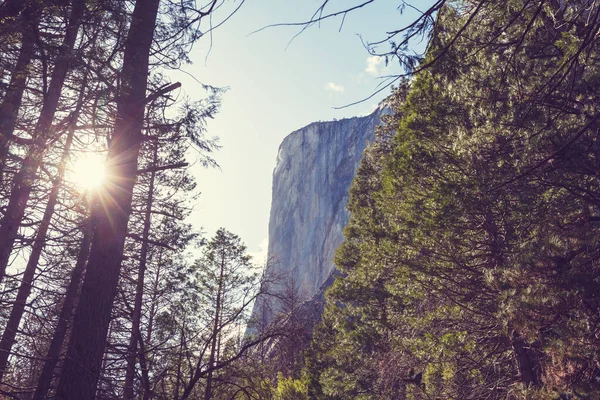 Krajobrazy Parku Narodowego Yosemite Kalifornia — Zdjęcie stockowe