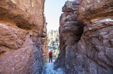 Arizona, ABD 'deki Chiricahua Ulusal Anıtı' nın alışılmadık manzarası