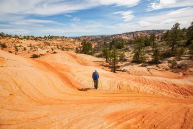 Utah dağlarında yürüyüş. Alışılmadık doğal manzaralarda yürüyüş. Fantastik kumtaşı oluşumları.
