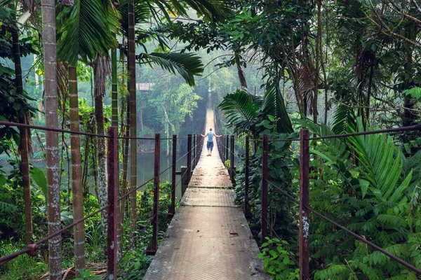 Felfüggesztés Híd Trópusi Dzsungelben — Stock Fotó