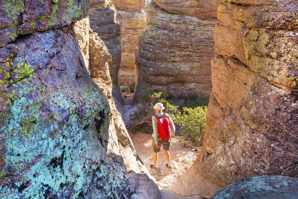 Niezwykły Krajobraz Przy Pomniku Narodowym Chiricahua Arizona Usa — Zdjęcie stockowe