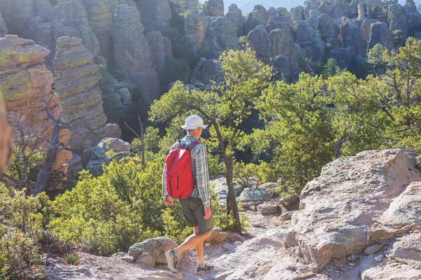 Männer Beim Wandern Chiricahua National Monument Arizona Usa — Stockfoto