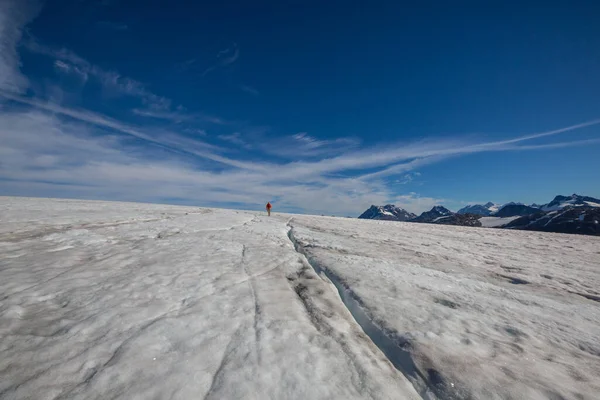 Hiker Glacier Canadian Rocky — Stock Photo, Image
