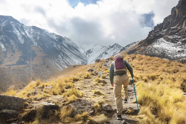 Alpiniste Marchant Long Chemin Plein Herbe Entouré Paysages Avec Des — Photo