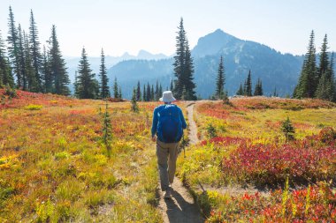 Sonbahar dağlarında yürüyüş. Sonbahar mevsimi teması.