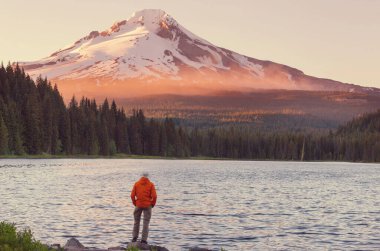 Mount. Hood reflection in Trillium lake,  Oregon, USA. Beautiful natural landscapes clipart