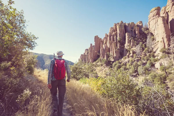 Ungewöhnliche Landschaft Chiricahua National Monument Arizona Usa — Stockfoto