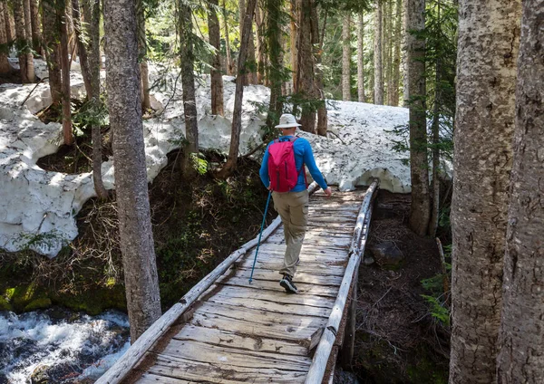 Man Escursioni Baia Sentiero Nella Foresta Natura Escursioni Piacere Viaggio — Foto Stock