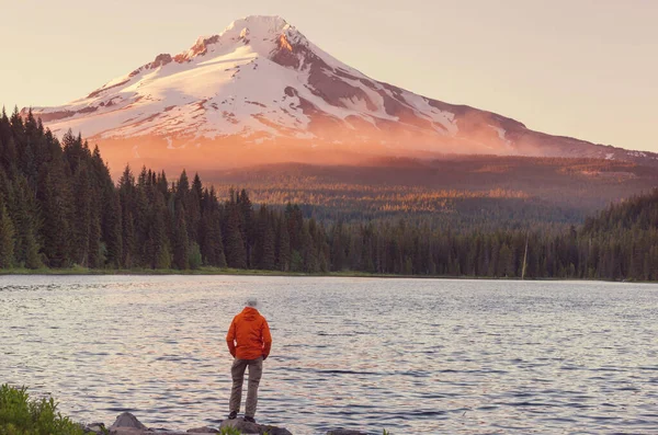 Mount Hood Reflection Trillium Lake Oregon Usa Beautiful Natural Landscapes — Stok fotoğraf