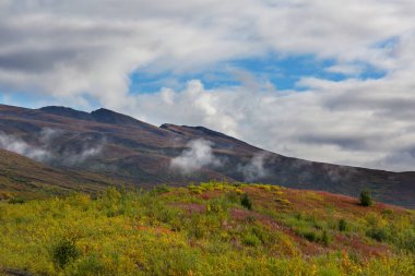Tundra landscapes above Arctic circle in autumn season. Beautiful natural background.