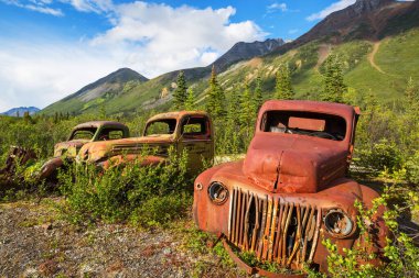 Kuzey Kanada 'da yaz mevsiminde vahşi doğada paslanan bir dizi terk edilmiş paslı savaş kamyonu.
