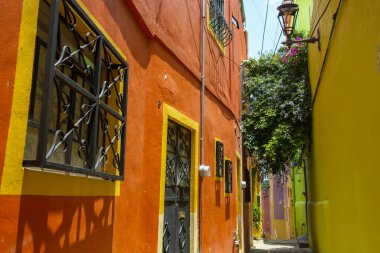 Meksika 'nın Guanajuato kasabasının renkli koloni tarzı evleri.