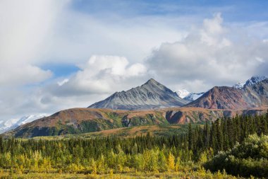 Yazın Alaska 'nın Picturesque Dağları. Kar, kütleleri, buzulları ve kayalık tepeleri kapladı. Güzel doğal arkaplan.