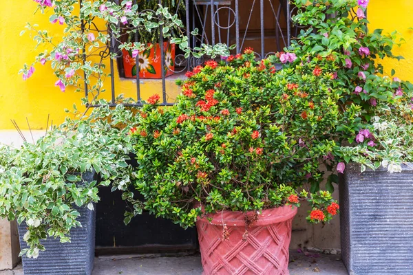 Hermosa Calle Decorada Con Flores — Foto de Stock