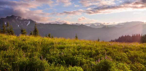 美国华盛顿北喀斯喀特山脉美丽的山峰全景 — 图库照片
