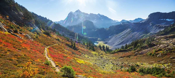 Panorama Över Vackra Toppen Mount Shuksan Washington Usa — Stockfoto