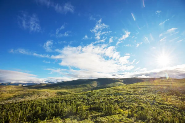 Tundra Landskap Ovanför Polcirkeln — Stockfoto
