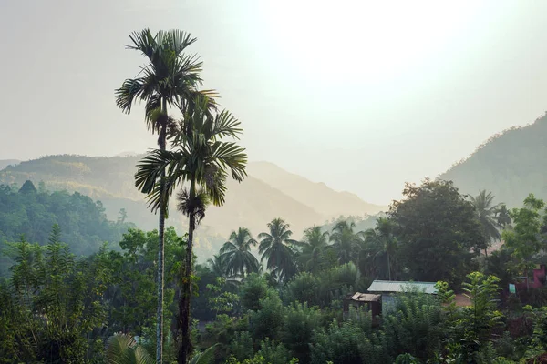 Traditionelles Dorf Auf Sri Lanka — Stockfoto