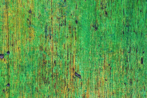 Brown Wood Texture Background Araucaria Cortex — Stock Photo, Image