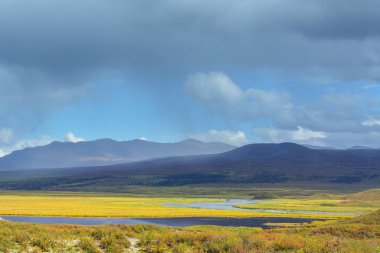 Kutup dairesinin üstündeki Tundra manzaraları