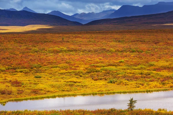 Tundra Landscapes Arctic Circle Autumn Season Beautiful Natural Background — ストック写真
