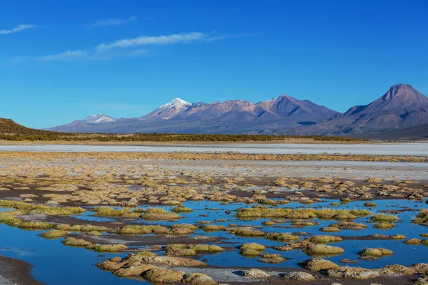 Lanskap Pegunungan Yang Tidak Biasa Bolivia Perjalanan Altiplano Petualangan Amerika — Stok Foto