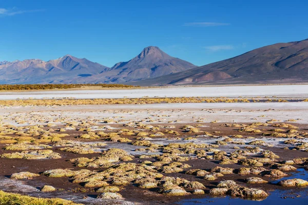 Unusual Mountains Landscapes Bolivia Altiplano Travel Adventure South America — Stock Photo, Image