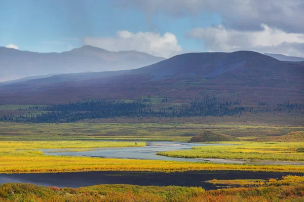 Tundra Landschappen Boven Poolcirkel — Stockfoto