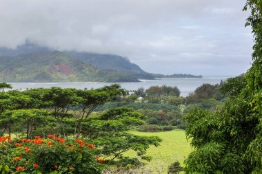 Hawaii, ABD 'deki Kauai Adası' ndaki Tünel Plajı 'nda güzel bir manzara.