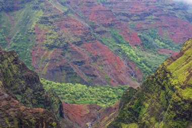 Waimea Kanyon, Kauai Adası, Hawaii