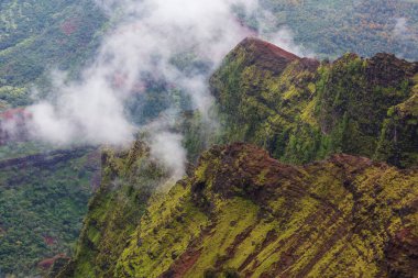 Waimea Kanyon, Kauai Adası, Hawaii
