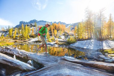 Sonbahar dağlarında yürüyüş. Sonbahar mevsimi teması.