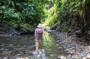 Güney Amerika, Kolombiya 'daki slot kanyonunda yürüyüş yapan adam.