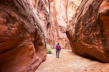 Utah, ABD 'deki Grand Staircase Escalante Ulusal Parkı' ndaki Slot Kanyonu. Utah çöllerinde alışılmadık renkli kumtaşı oluşumları yürüyüşçüler için popülerdir..