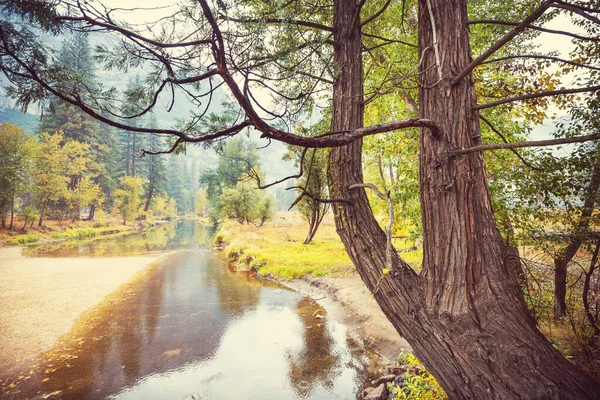 Krásná Podzimní Sezóna Yosemitském Národním Parku Kalifornie Usa — Stock fotografie