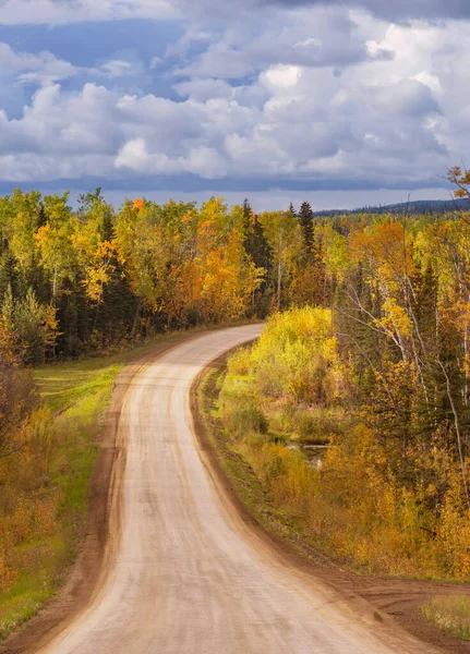 Kolorowa Scena Jesienna Wiejskiej Drodze Lesie — Zdjęcie stockowe